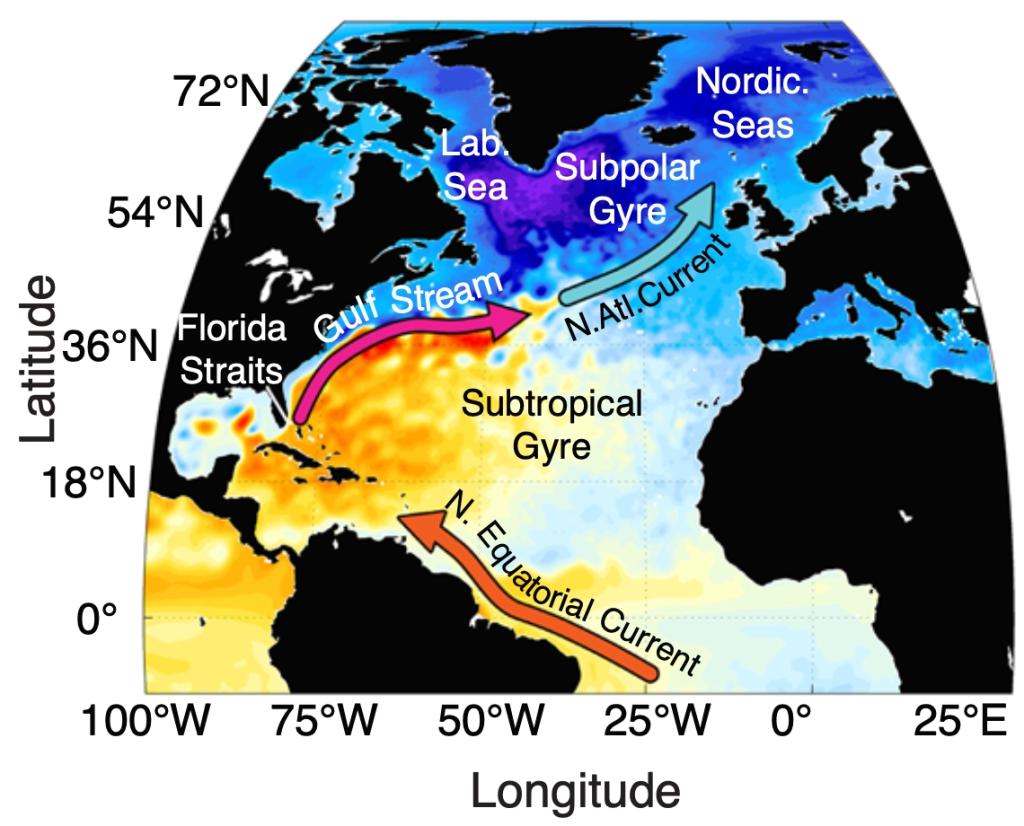 Sea Surface Height and general circulation